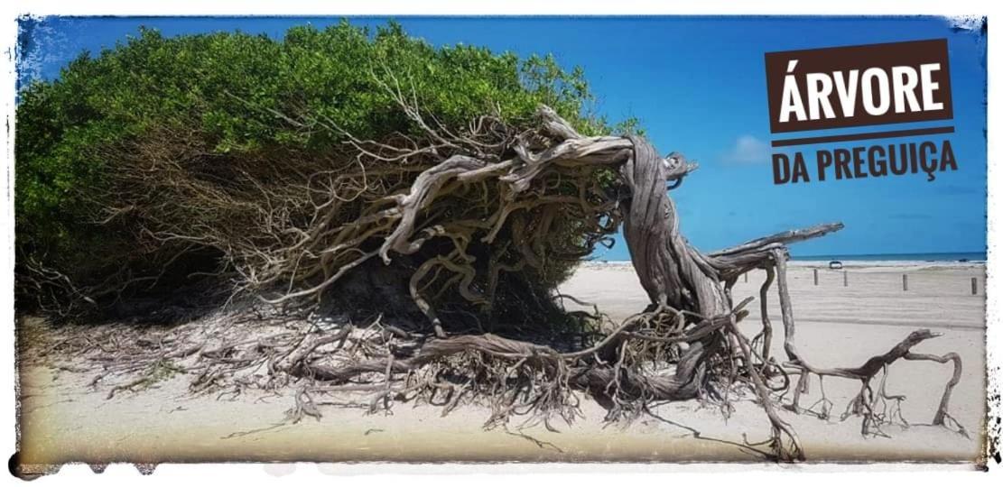Casa A 3 Minutos Do Aeroporto De Jericoacoara Villa Kültér fotó